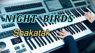 Night Birds / Shakatak ナイト・バーズ（耳コピ）★YAMAHA Electone ELS-02C chords