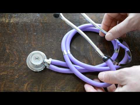 Video: Purple Stethoscope (23 Photos): Description Of Purple Stethoscope, Planting And Care