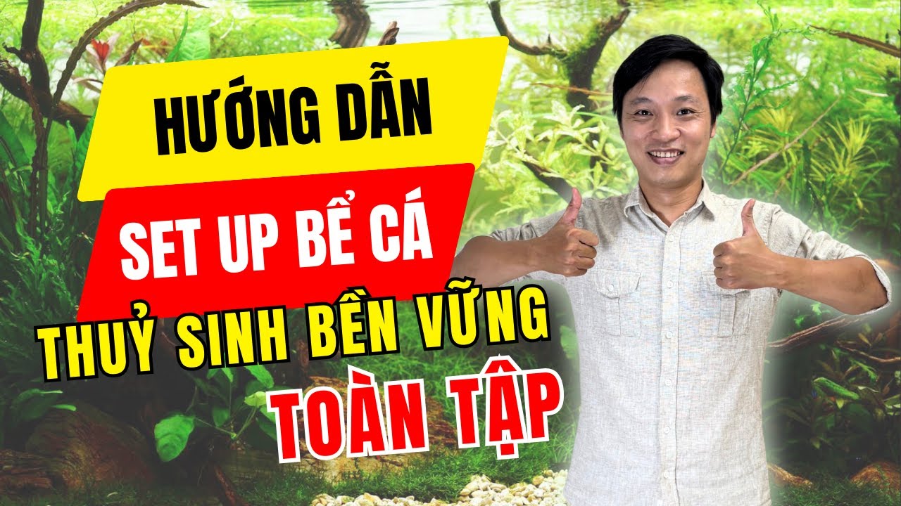 Hướng Dẫn Set Up Bể Cá Thủy Sinh Bền Vững