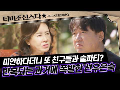 [#풀버전] 사과해놓고 또 술자리? 실망이 지겨울 정도인 선우은숙 #우리이혼했어요 #TVCHOSUNSTAR (TV CHOSUN 201204 방송)