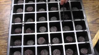 Easiest Way to Jump Start your Garden this Year -Burpee Seed Starter Kit by Jayzlin Flynn