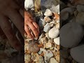 Gem stones from the canyon, amethyst and veined agate. diamonds and gold