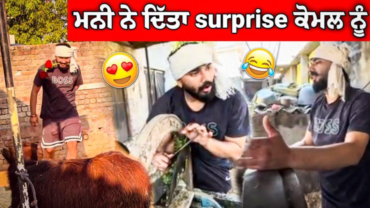 ਮਨੀ ਨੇ ਦਿੱਤਾ Surprise ਕੋਮਲ ਨੂੰ ❤️😍 ਕੰਮ ਕਰਨ ਲਾਤਾ ਮਨੀ😂 #manishoker #funny #gopishoker #comedy 