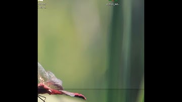 [Lập trình Scratch] - Gợi ý giải đề thi tin học trẻ 2022 - Huyện Thạch Hà