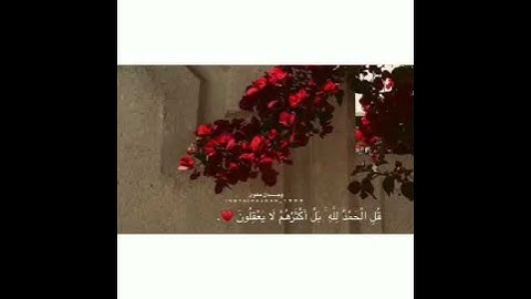 (قُلِ الحَمْدُ لِلهِ بَلْ أَكْثَرُهُمْ لا يَعْقِلُونَ ) سورة العنكبوت آية 63