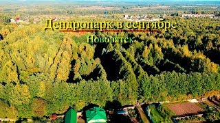 Аэросъемка Нововятск дендропарк в сентябре 2018
