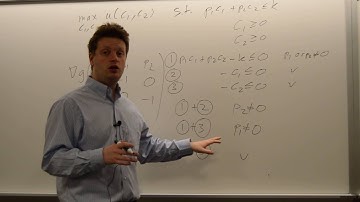 Checking the Constraint Qualification