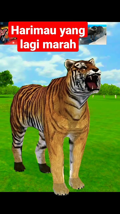 suara harimau lagi marah#animals #hewanlucu