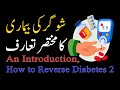 An Introduction | What is Diabetes | How to reverse Diabetes Type 2 Permanently