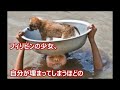 【歌詞】君に好きと伝えよう/ROYALcomfort