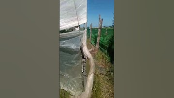 توت البري #القرآن_الكريم #سورة_البقرة #آية_الكرسي