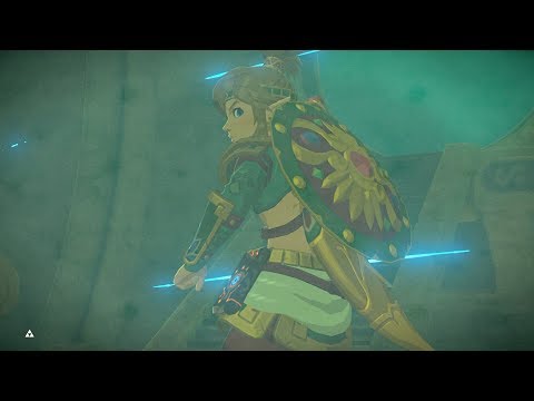 Video: Zelda Illusory Realm-chefer: Hur Man Slår Waterblight Ganon, Windblight Ganon, Fireblight Ganon, Thunderblight Ganon