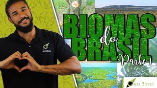 Biomas Do Brasil Part 1 - Geobrasil