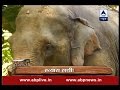Jungle: Watch story of 'Bhola' whose second name was 'death'