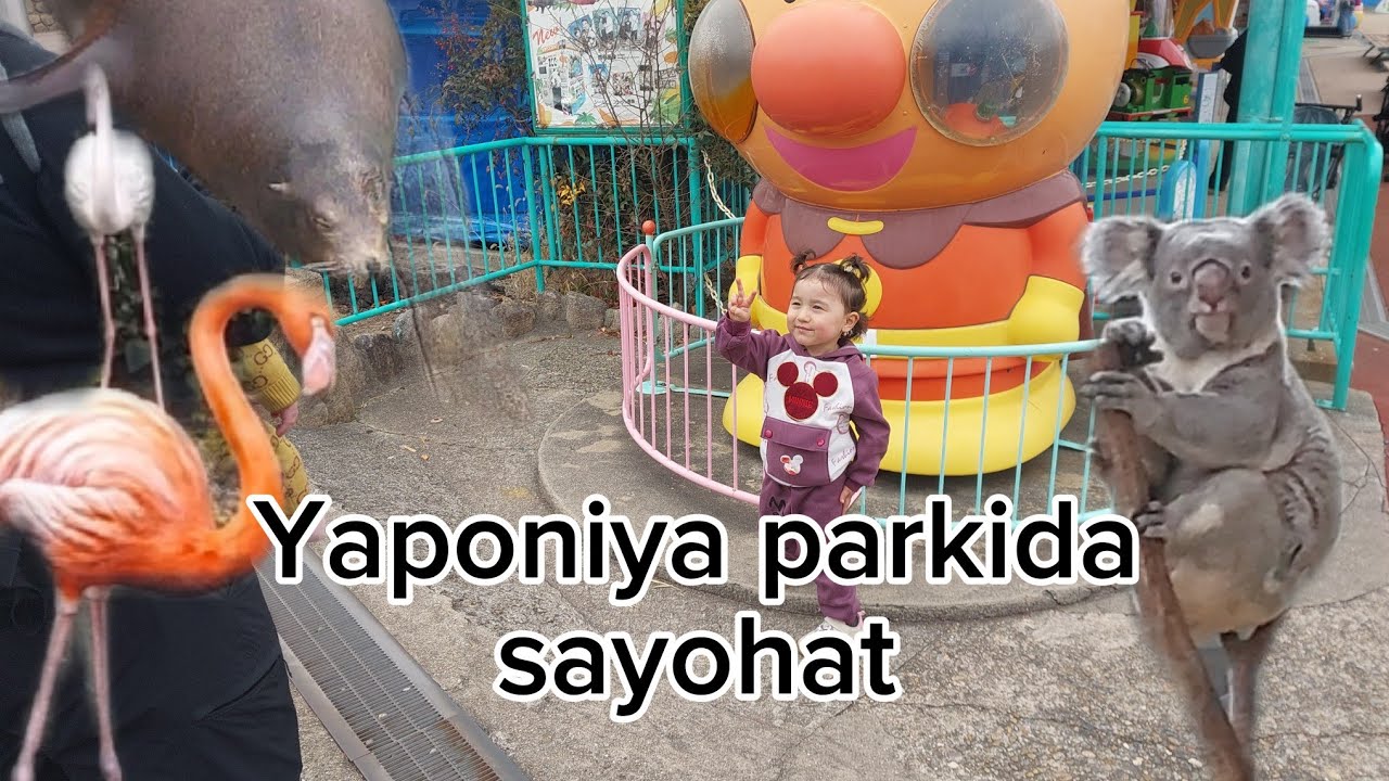 Yaponiyadagi mashhur va qadimiy Oji Koen bog‘i 😍