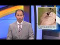 West Nile Virus confirmed in Minot mosquito sample
