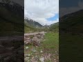 Snowy Peaks and a Calm River Valley #shorts