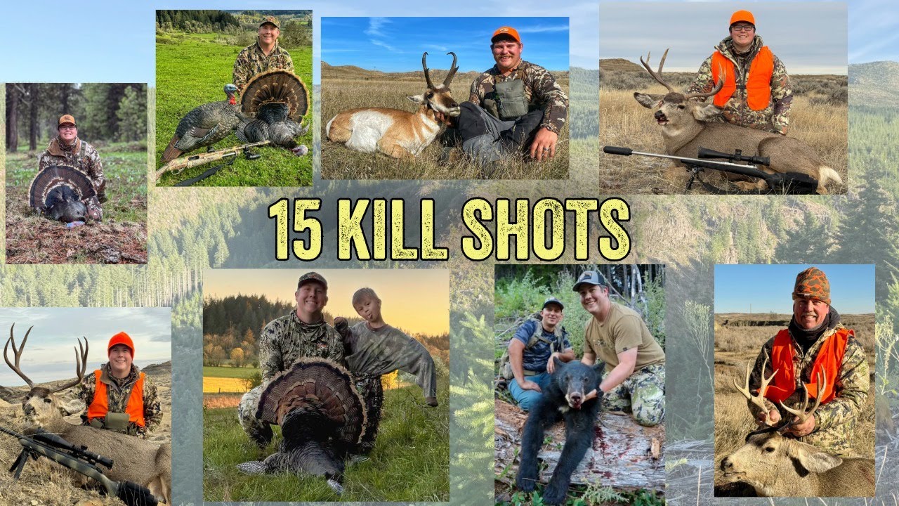15 Epic Kill Shots in 5 Minutes 🎯💥 - YouTube