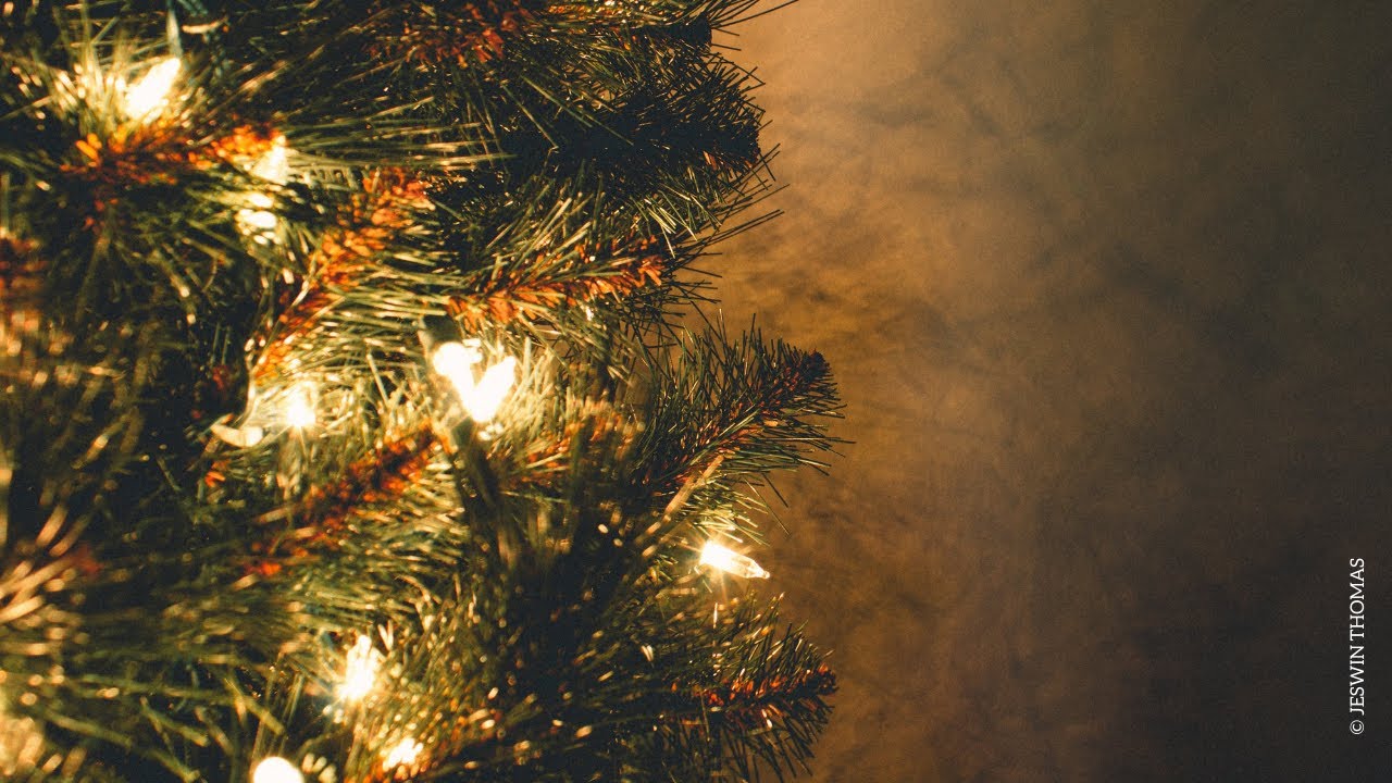 Noël : faut-il acheter un sapin naturel ou artificiel ?