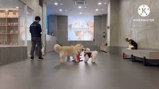 BARKHAUS. Estancia Mall, Pasig City screenshot 1