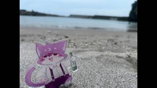 ばきゃんす