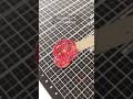 刺繍みたいな薔薇の透明シーリング │ #waxmelts #透明シーリング