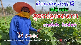 ปลูกแตงกวาอย่างไร? ดก ติดทุกข้อตา 1 เดือน ได้เงินแสน | ไก่ ระยอง | เกษตรผสมผสาน | บ่าวยุทธพาจ้วด