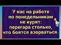 Коллективный сон в РАБОЧЕЕ время укрепляет КОРПОРАТИВНЫЙ дух