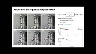 Famous Frequency Response Data-driven Optimization for Fast and Precise Motion Control of Flexible Joint Net Worth