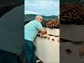 Jack Of All Trades in Italy I DIY I Renovating An Ancient Home l Italy Home Purchase #italy