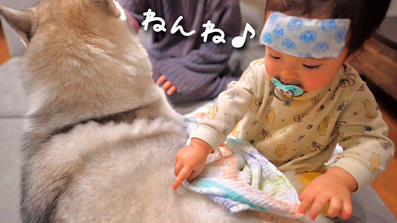 My daughter's love for our dog was amazing as she continued to