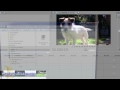 End of video