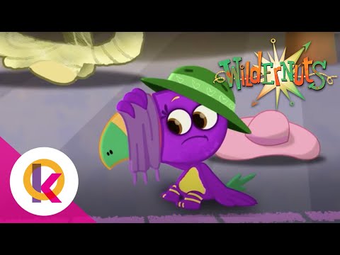 🌰 🚀 ✨ Wildernuts - Main Attraction | S1 E06 | Kids Cartoon | Kids Learning | Educational Cartoon