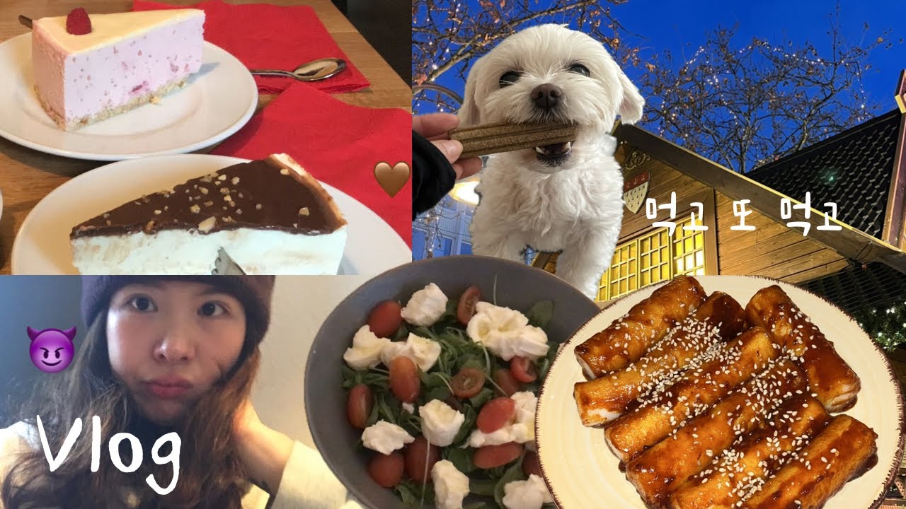 vlog. 먹는 것이 일상에 전부이자 낙인 독일에서..😝🖤❤️💛| 크리스마스마켓  | 첫눈 in cologne 
