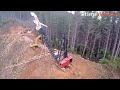 How The Forest Is Logged | Logging Brothers Harvester and Forwarder | Wood Work