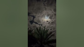 {وسارعوا إلى مغفرة من ربكم}#تلاوة_خاشعة #quran#قرآن#islam#القارئ#محمد_اللحيدان #القرآن#القرآن_الكريم