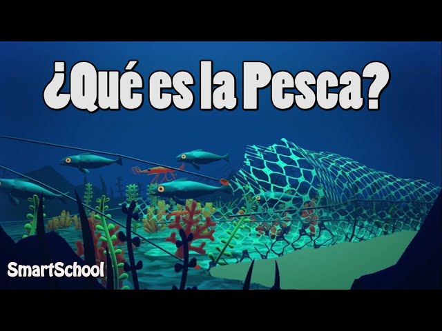 Qué es la Pesca?  Vídeos educativos para Niños📗📗✓ 