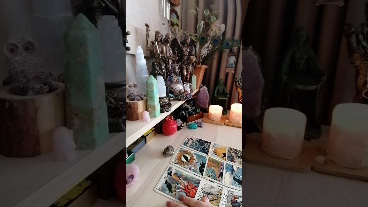 🔥⚡ ბუმერანგი ⚡🔥