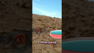 The Pet Snake Incident #vtuber #envtuber