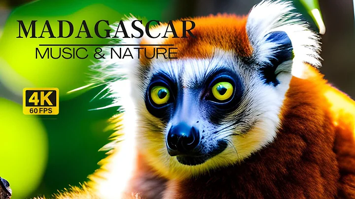 🍃🌹🍃 MADAGASCAR | Relaxing Film in 4k & Nature Sounds