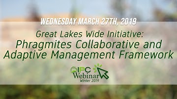Great Lakes Wide Initiative: Phragmites Collaborative and Adaptive Management Framework