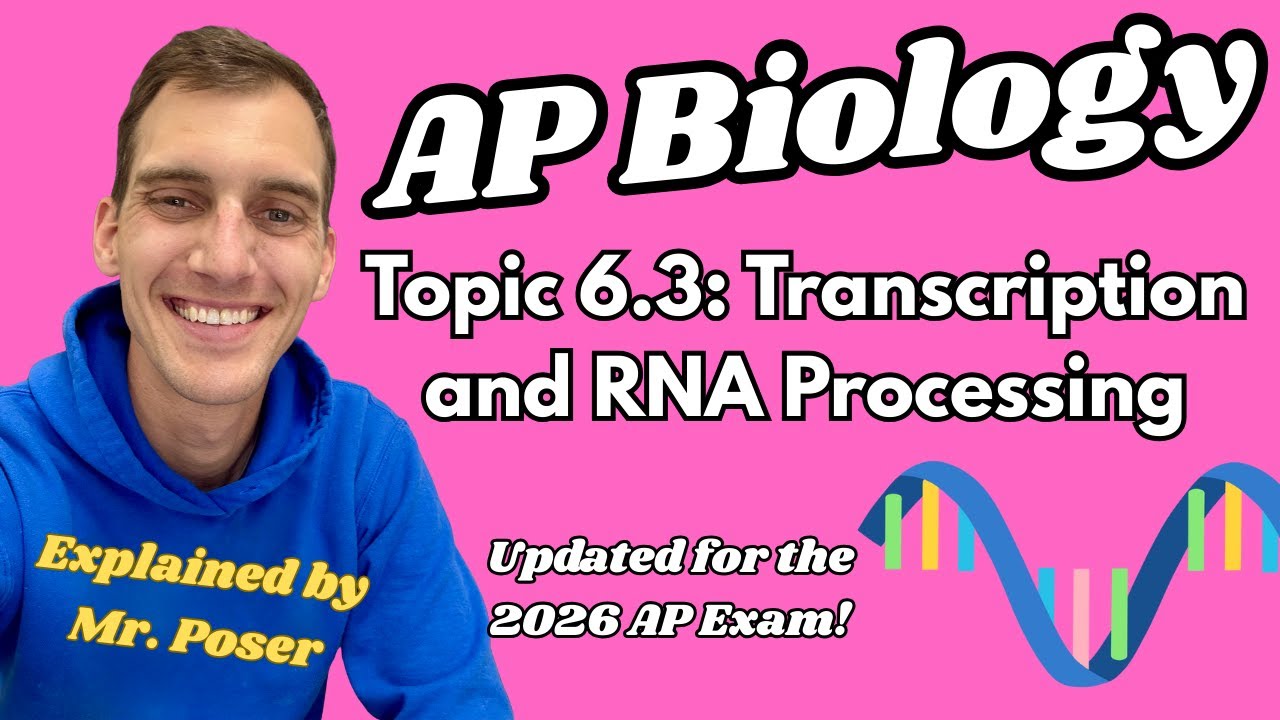 6.3 Транскрипция и процессинг РНК – Академическая биология (2025-2026)
