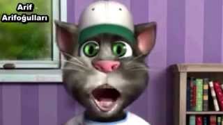 ES-Kanal Challenge die Katze kann sprechen auf Türkisch (bayburt) screenshot 2