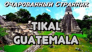 ОС #104 / Тикаль, Древний Город Цивилизации Майя, Гватемала / Tikal, Ancient Mayan City, Guatemala
