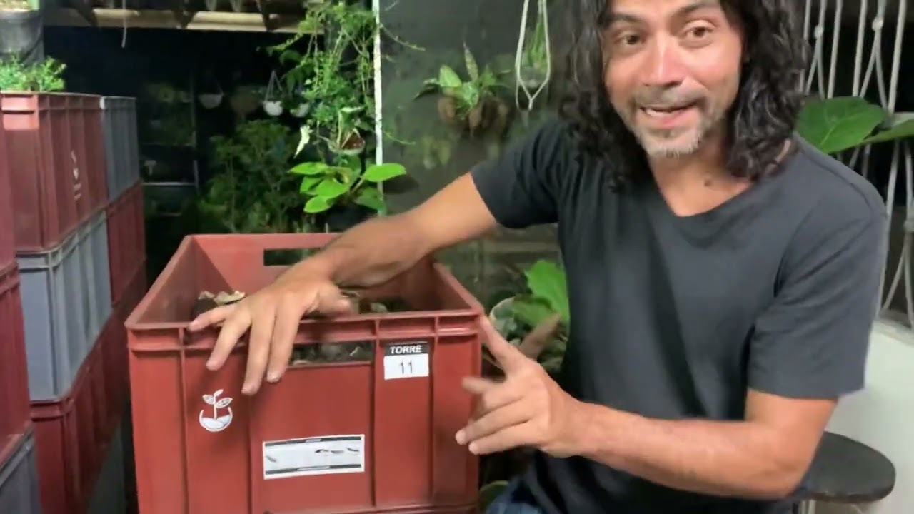 Lombricultivo vertical SEMBRAMOS