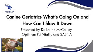Canine Geriatrics­ - What Is Happening &amp; What Can I Do To Change It - Part II