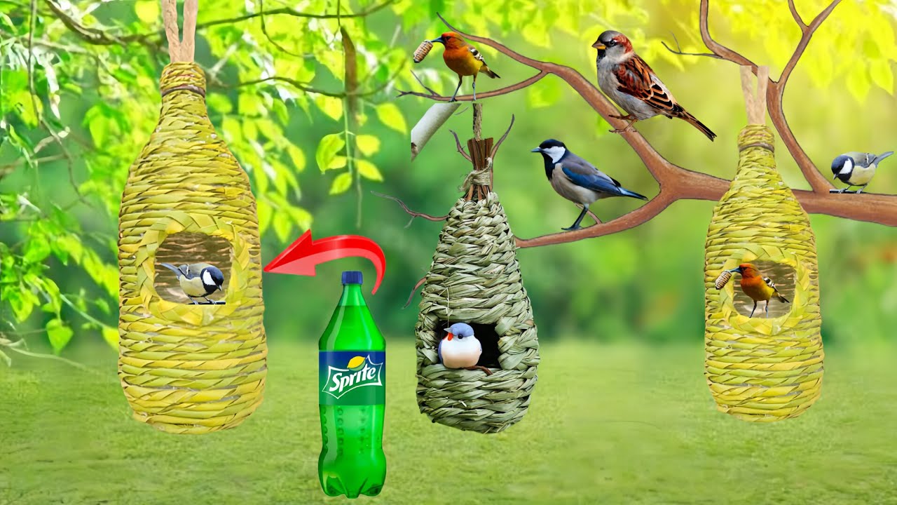 How to make bird nest from plastic bottle || Bird nest making craft ...