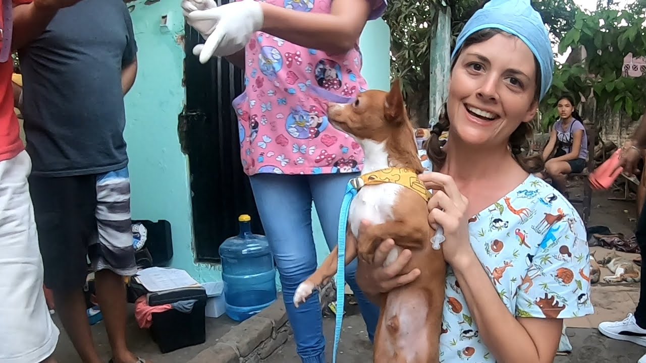 One Dog at a Time - Saving the animals of Pt Madero Mexico : Chuffed Special