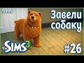 The Sims 3 Ананасисы #26 Завели собаку
