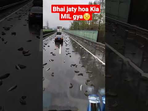 Machlio Ki Barish Shortvideo Machli Barish